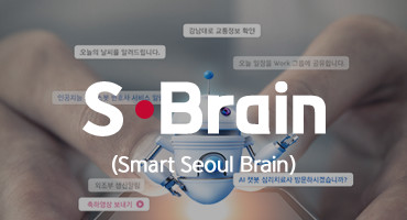 S-Brain